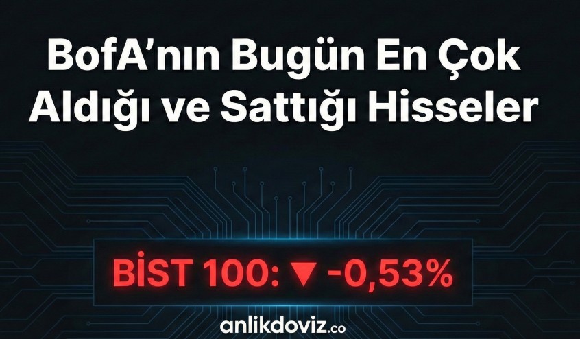 Borsa Düşerken BofA Hangi Hisseleri Topladı? İşte Detaylı Liste
