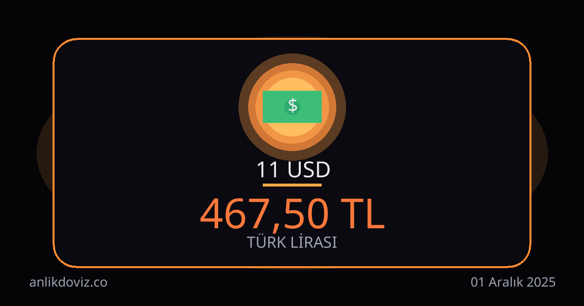 11 Euro kaç TL?