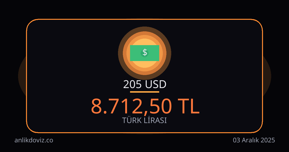 205 Euro kaç TL?